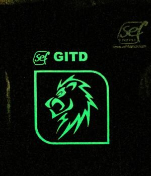 FlexCut Glow-In-The-Dark 25cm x 1m SEF