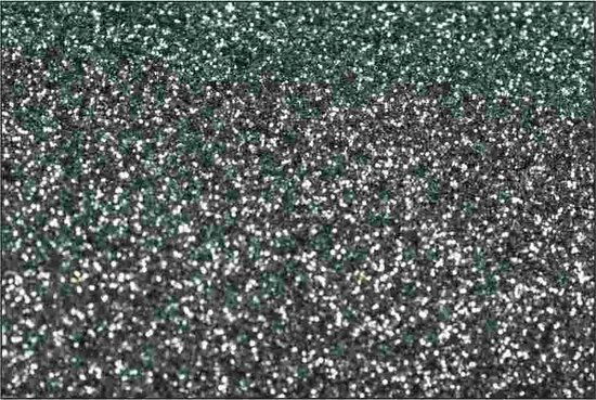 6096 Platinum NOVA-FLEX PET GLITTER 50cm