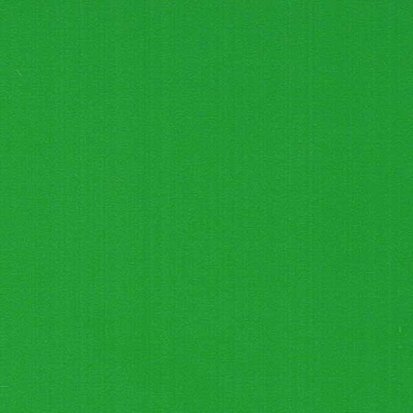 Grass Green - Vinyle Brillant AVERY DENNISON