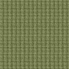 Woolies-Flannel-Light-Green-F18504M-G