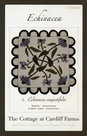 Echinacea-Wool-Mat