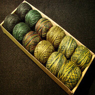 Valdani size 12 Two in Green