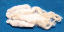 Wavy Wool