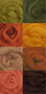 Wistyria Editions - Wool Roving Assortment Autumn 