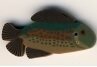 JABC-1136-Speckled-Trout