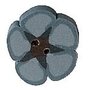 JABC-nh1074.T-Williams-Blue-5-petal-flower-Tiny