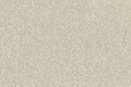 6021 30cm White Gold NOVA-FLEX PET GLITTER 
