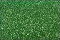 6078 Medium Green NOVA-FLEX PET GLITTER 30cm