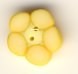JABC-2278.T-Yellow-Flower-Tiny