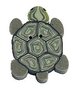 JABC-1134.T-Turtle-tiny