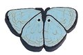 JABC-1143-Blue-Butterfly