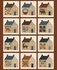 Buttermilk Homestead 1 Yard Bundle Summert, 13st_5