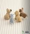 Chiens et chats en peluche_6